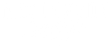 Mission Vision Lifestyle